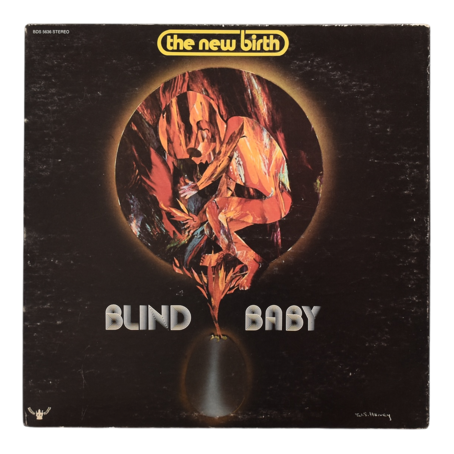 The New Birth - Blind Baby