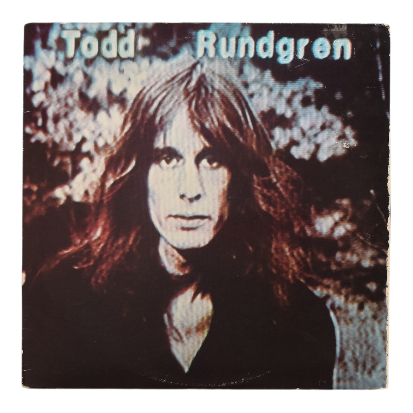 Todd Rundgren - Hermit Of Mink Hollow